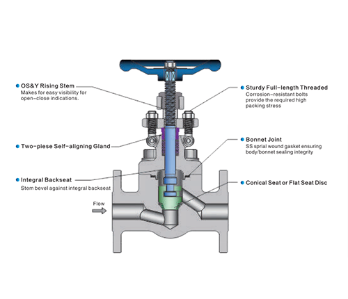 Forged Steel Globe Valve