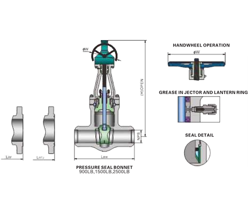Cast Steel PSB Gate Valve