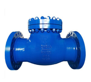 Check valves for water