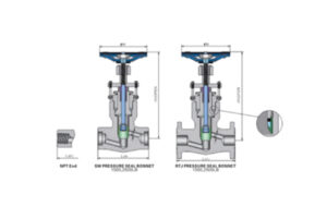 Forged Steel PSB Globe Valve