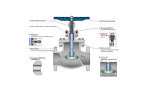 Cast Steel Globe Valve