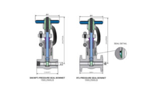 API 602 Forged Steel PSB Gate Valve