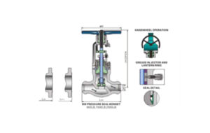 Cast Steel PSB Globe Valve