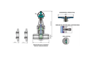 Cast Steel PSB Gate Valve