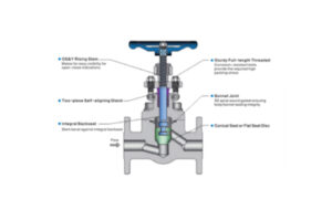 Forged Steel Globe Valve