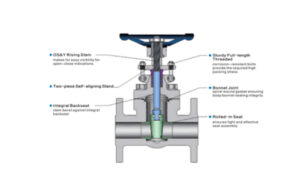 API 602 Forged Steel Gate Valve